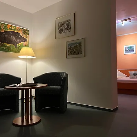 Altes Seehotel Silz - Das 