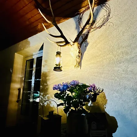 Altes Seehotel Silz - Das 