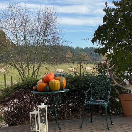 Penzion Altes Seehotel - 