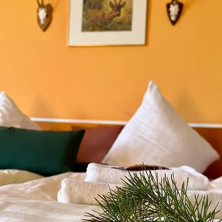 Penzion Altes Seehotel - 