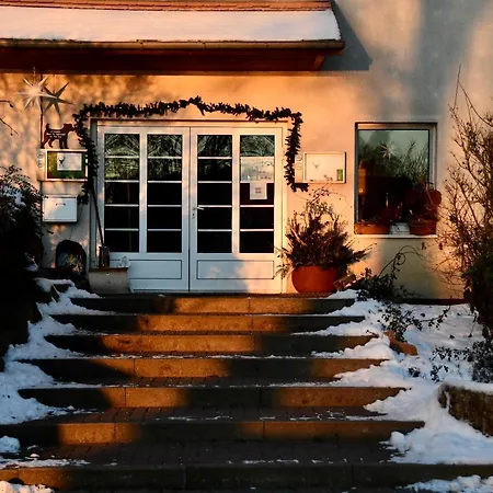 Altes Seehotel Silz - Das 