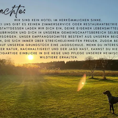 Penzion Altes Seehotel - 