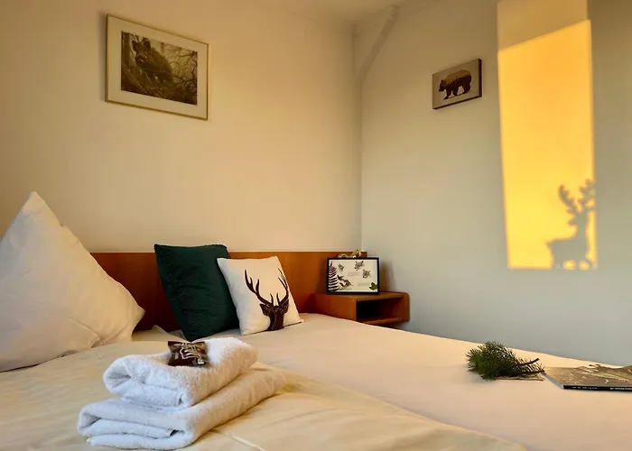 Altes Seehotel - 