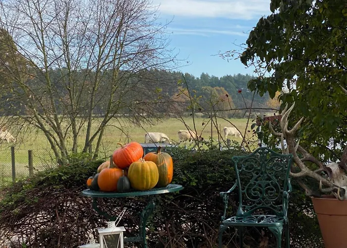 Gasthof Altes Seehotel - 