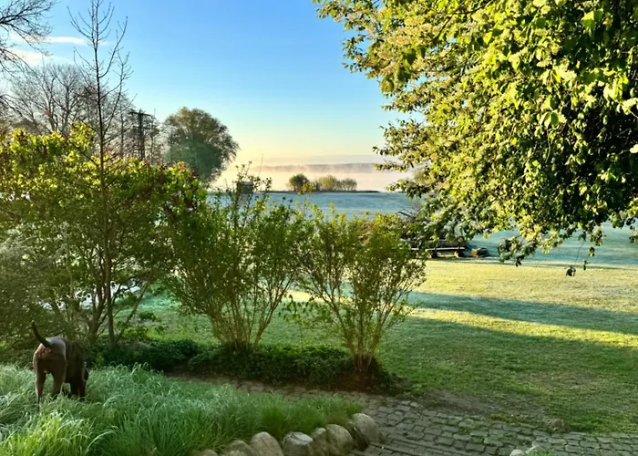 Gasthof Altes Seehotel - 