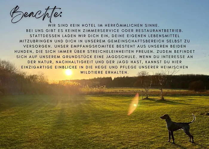 Gasthof Altes Seehotel - 